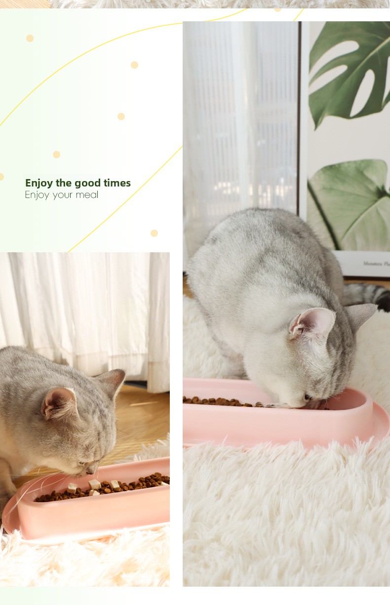 Ant-Proof Long Cat Bowl for Multi-Cat Feeding detail 13