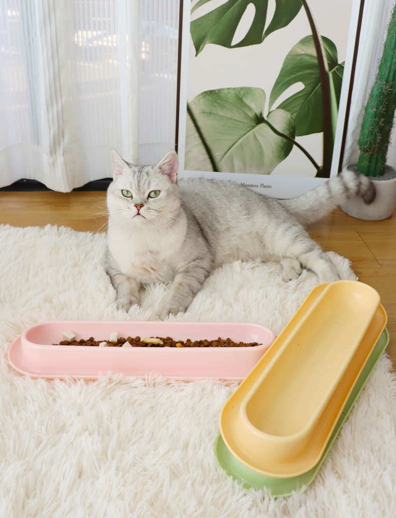 Ant-Proof Long Cat Bowl for Multi-Cat Feeding detail 14