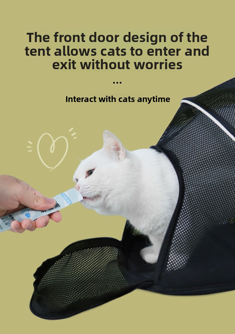 Breathable Portable Pet Backpack Carrier detail 13
