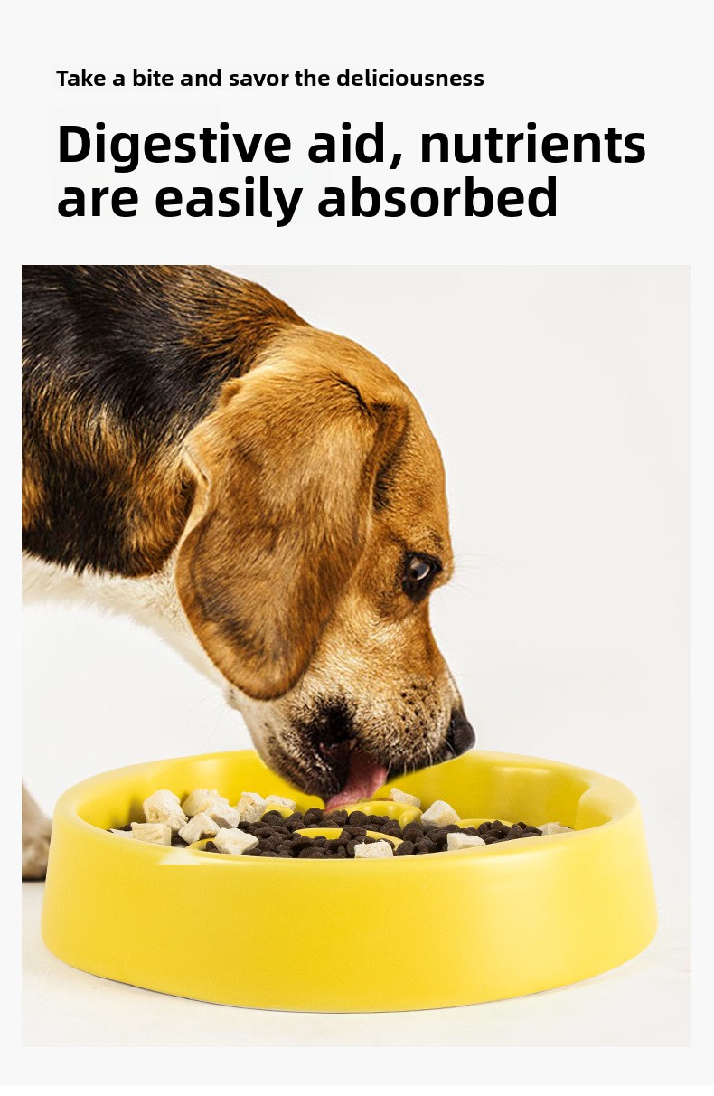Ceramic Slow Feed Bowl for Dogs and Cats - Anti-Tipping, Large Capacity detail 7